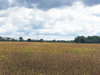 Property photo 2 - FARMLAND AUCTION - 193+/- ACRES IN 3 TRACTS IN CLARK COUNTY